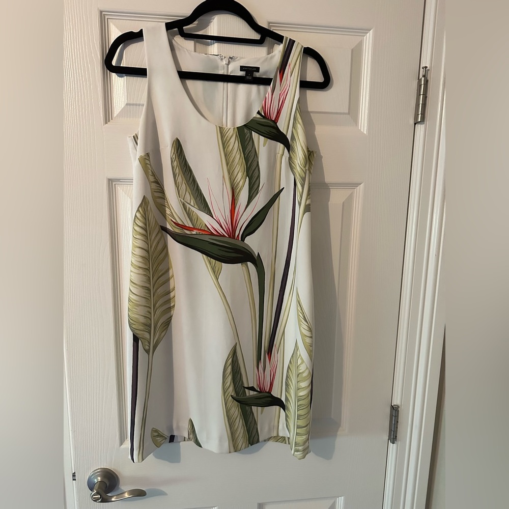 Ann Taylor Sleeveless Dress Size 2